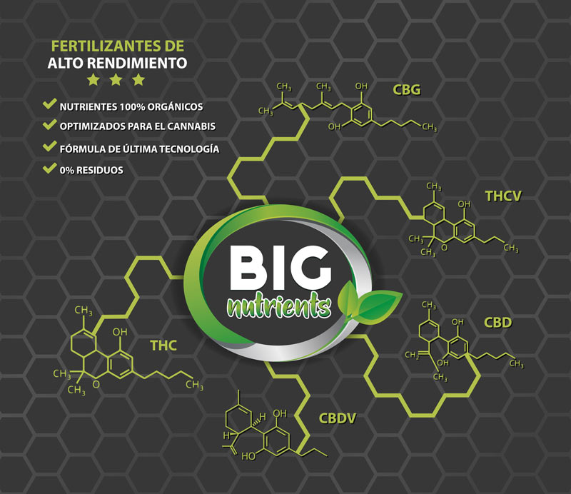 Big Quality Resin Pro • Big Nutrients PRO - Fertilizantes ecológicos de  alta calidad