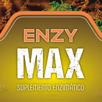Enzy Max de Big Nutrients
